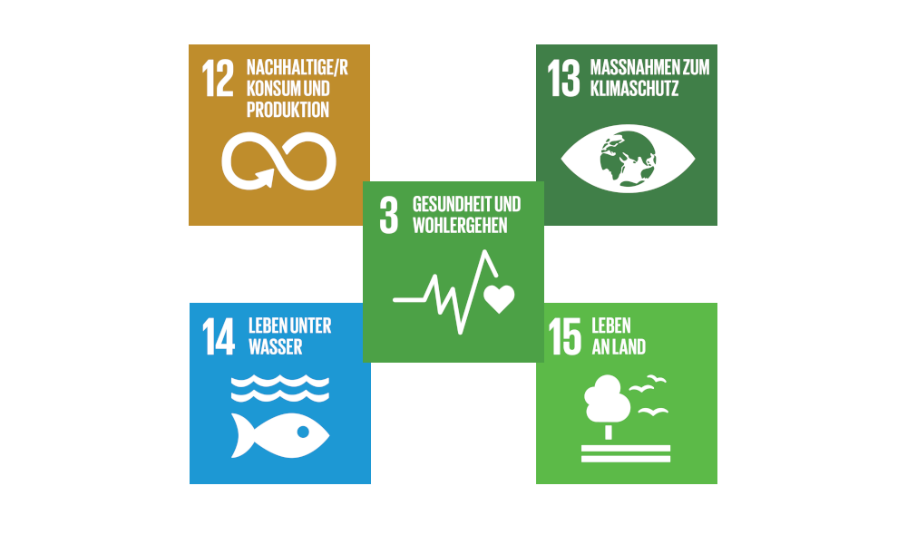 SDG Goals draft highres